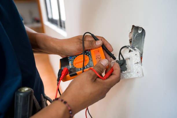 Best Electrical System Inspection  in Deerfield, MI