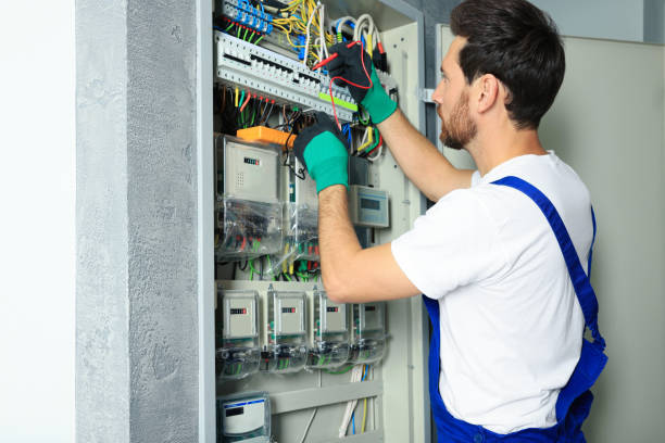 Best Electric Panel Repair  in Deerfield, MI