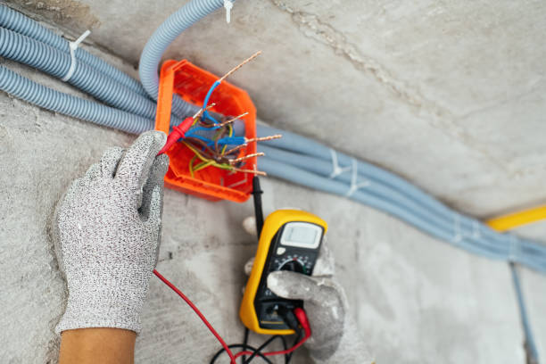 Best Electrical Troubleshooting Services  in Deerfield, MI