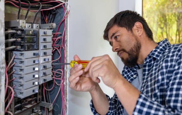 Best 24-Hour Electrician  in Deerfield, MI